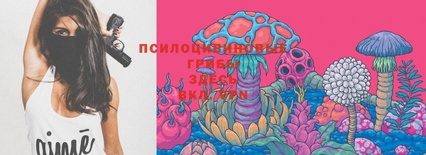 гашик Абинск