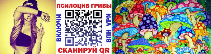 Галлюциногенные грибы мухоморы  купить наркотик  Тверь 